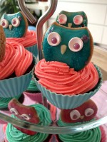 /album/toutes-les-party-/cup-cake-chouette-jpg1/